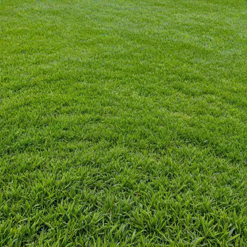 Jak często kosić trawę, aby była piękna i zdrowa?